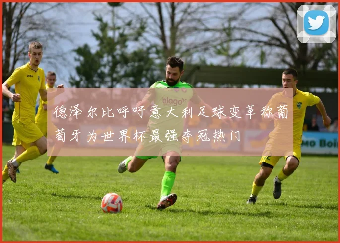 德泽尔比呼吁意大利足球变革称葡萄牙为世界杯最强夺冠热门