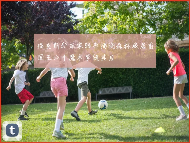 福克斯新东家赔率揭晓森林狼居首国王公牛魔术紧随其后